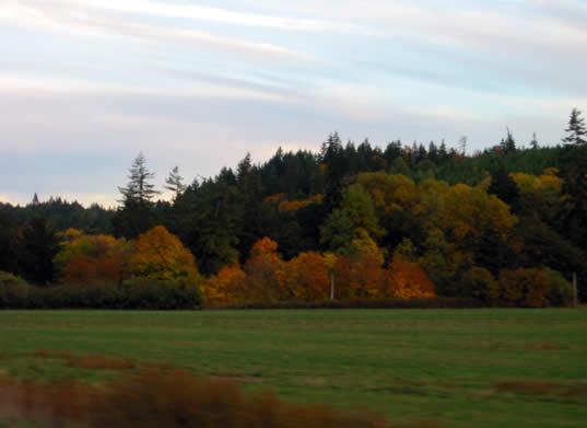 186_8698.jpg