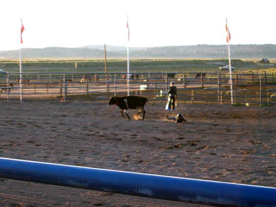 178_7840.jpg